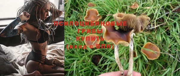 мяу мяу мука Бородино