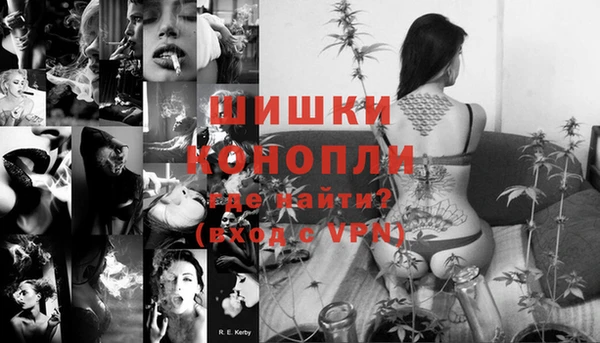 мяу мяу мука Бородино