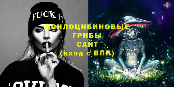 мяу мяу мука Бородино